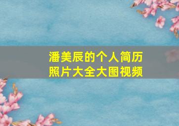 潘美辰的个人简历照片大全大图视频