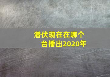 潜伏现在在哪个台播出2020年