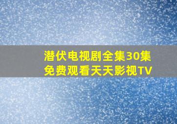 潜伏电视剧全集30集免费观看天天影视TV