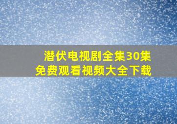 潜伏电视剧全集30集免费观看视频大全下载