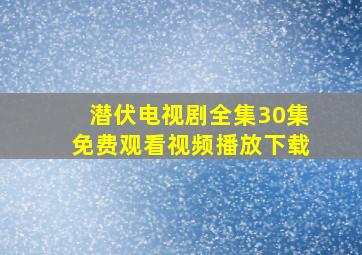 潜伏电视剧全集30集免费观看视频播放下载