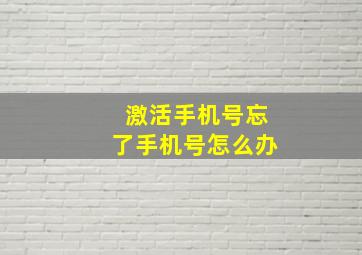 激活手机号忘了手机号怎么办