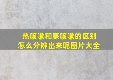 热咳嗽和寒咳嗽的区别怎么分辨出来呢图片大全