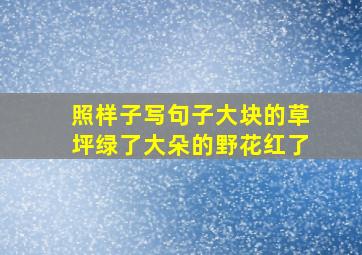 照样子写句子大块的草坪绿了大朵的野花红了