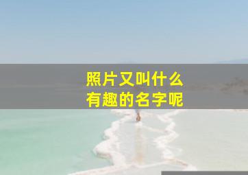 照片又叫什么有趣的名字呢