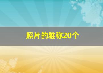 照片的雅称20个