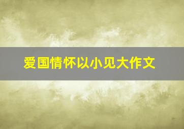 爱国情怀以小见大作文