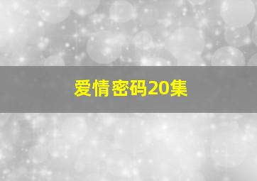 爱情密码20集