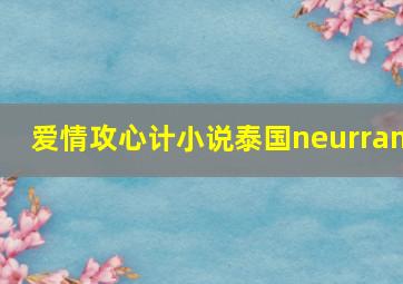 爱情攻心计小说泰国neurram