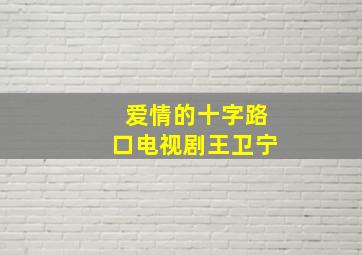 爱情的十字路口电视剧王卫宁