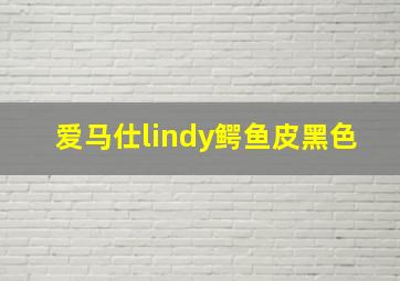 爱马仕lindy鳄鱼皮黑色