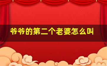 爷爷的第二个老婆怎么叫