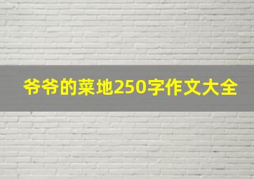 爷爷的菜地250字作文大全