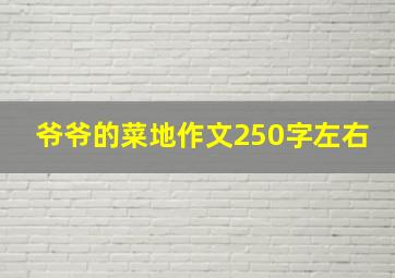 爷爷的菜地作文250字左右