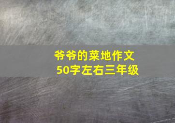 爷爷的菜地作文50字左右三年级