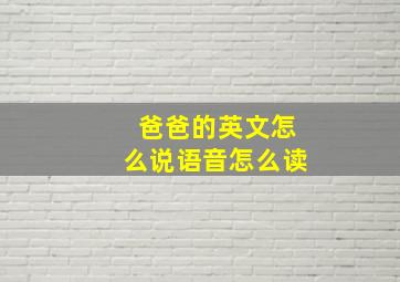 爸爸的英文怎么说语音怎么读