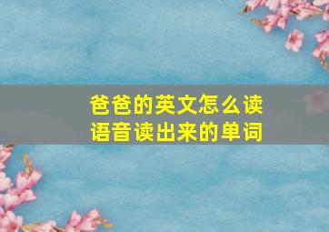 爸爸的英文怎么读语音读出来的单词