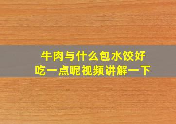 牛肉与什么包水饺好吃一点呢视频讲解一下