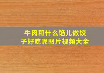 牛肉和什么馅儿做饺子好吃呢图片视频大全