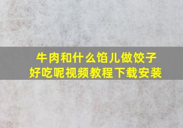 牛肉和什么馅儿做饺子好吃呢视频教程下载安装