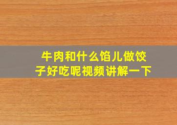 牛肉和什么馅儿做饺子好吃呢视频讲解一下