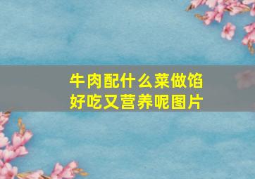 牛肉配什么菜做馅好吃又营养呢图片