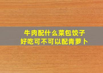 牛肉配什么菜包饺子好吃可不可以配青萝卜