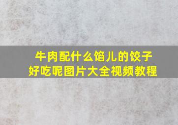 牛肉配什么馅儿的饺子好吃呢图片大全视频教程