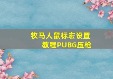 牧马人鼠标宏设置教程PUBG压枪