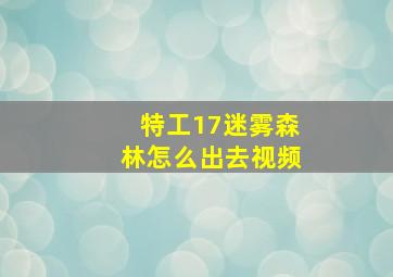 特工17迷雾森林怎么出去视频