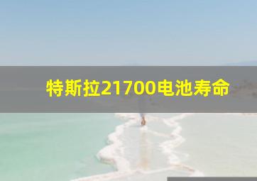 特斯拉21700电池寿命