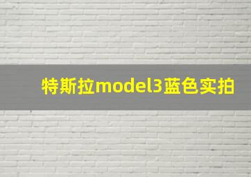 特斯拉model3蓝色实拍