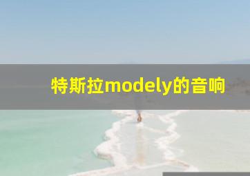 特斯拉modely的音响