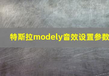 特斯拉modely音效设置参数