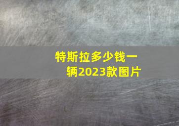 特斯拉多少钱一辆2023款图片