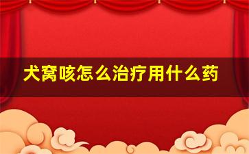 犬窝咳怎么治疗用什么药