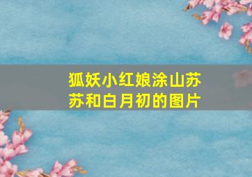 狐妖小红娘涂山苏苏和白月初的图片