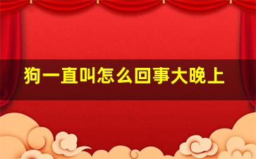 狗一直叫怎么回事大晚上