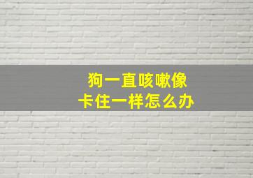 狗一直咳嗽像卡住一样怎么办