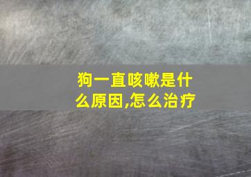 狗一直咳嗽是什么原因,怎么治疗