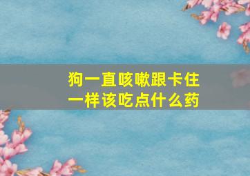 狗一直咳嗽跟卡住一样该吃点什么药