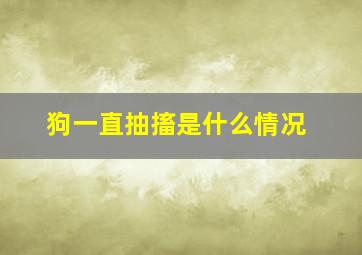 狗一直抽搐是什么情况