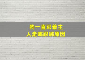 狗一直跟着主人走哪跟哪原因