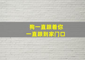 狗一直跟着你一直跟到家门口