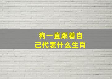 狗一直跟着自己代表什么生肖