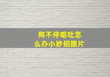 狗不停呕吐怎么办小妙招图片