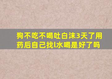 狗不吃不喝吐白沫3天了用药后自己找l水喝是好了吗