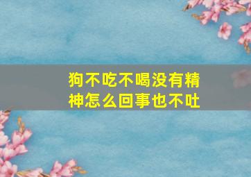 狗不吃不喝没有精神怎么回事也不吐