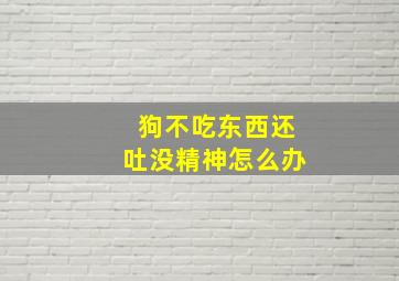 狗不吃东西还吐没精神怎么办