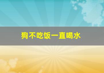 狗不吃饭一直喝水